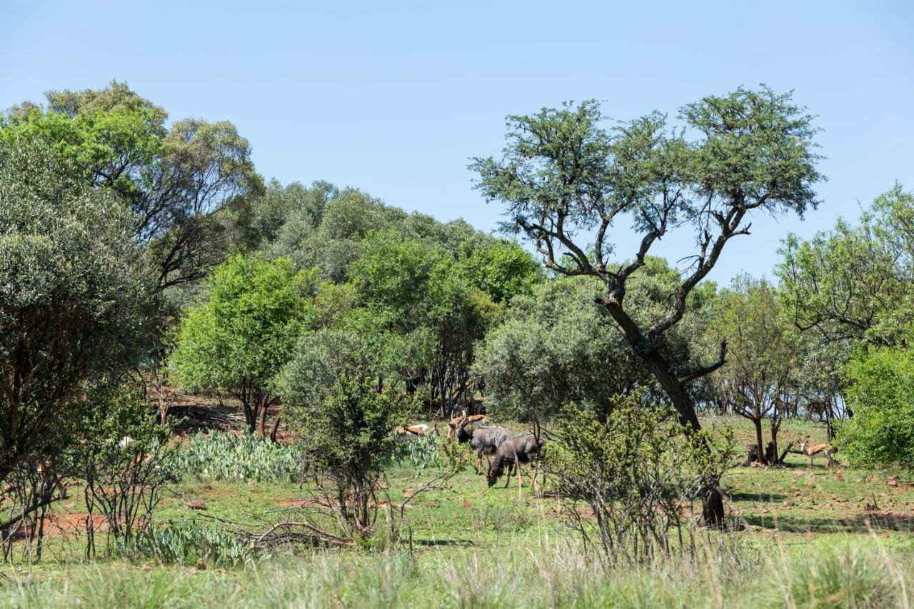 Harties Is Africa Safari Lodge Kosmos Eksteriør billede