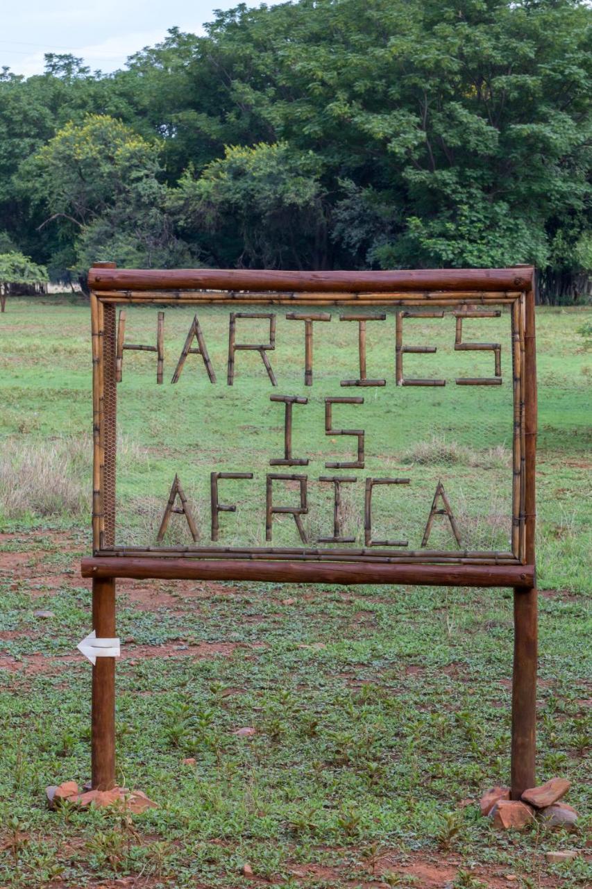 Harties Is Africa Safari Lodge Kosmos Eksteriør billede