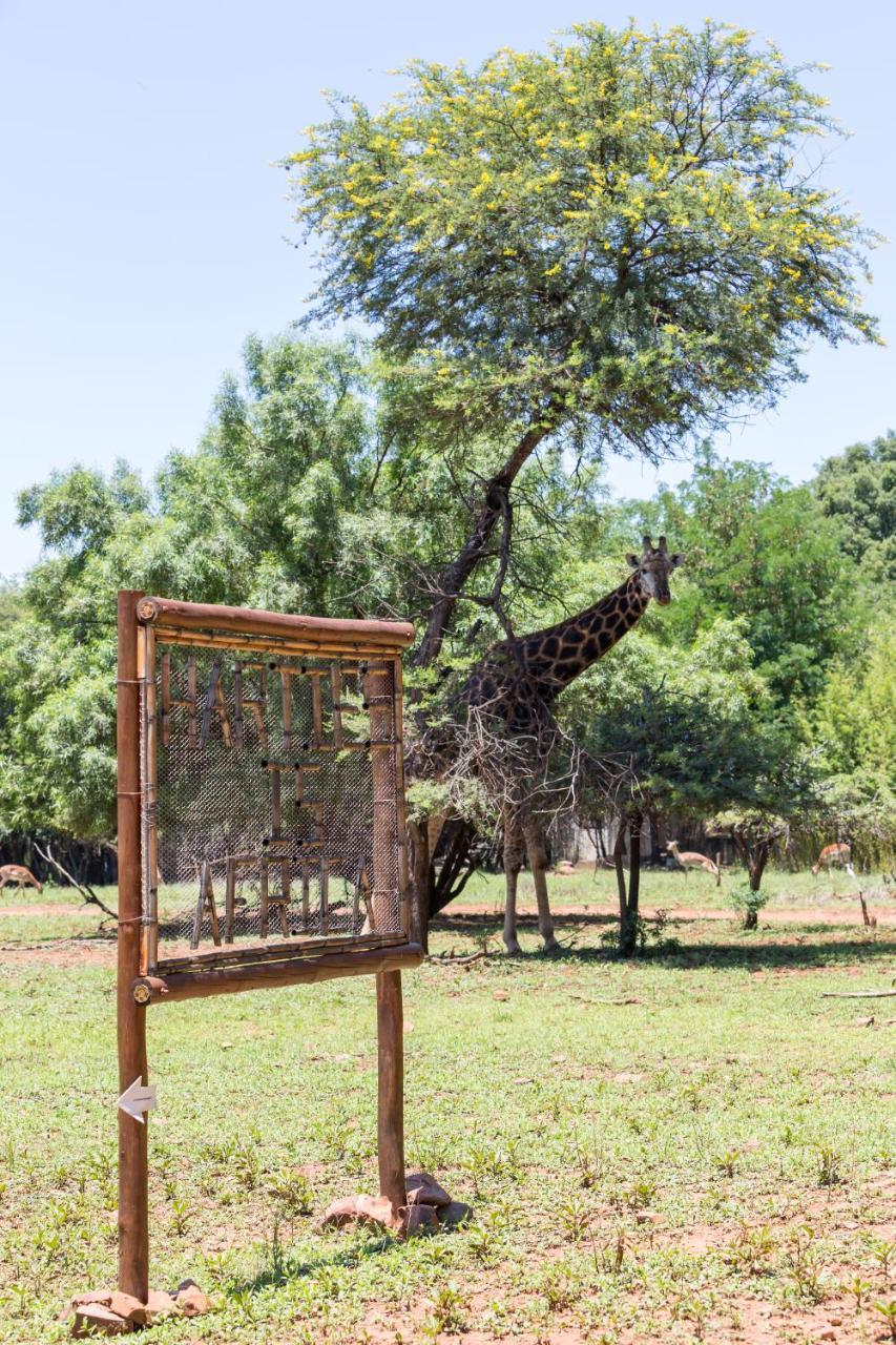 Harties Is Africa Safari Lodge Kosmos Eksteriør billede
